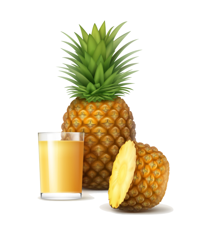 Pineapple Illustration Png Image