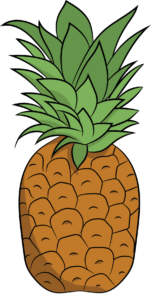 Hand Drawn Pineapple Png