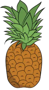 Hand Drawn Pineapple Png