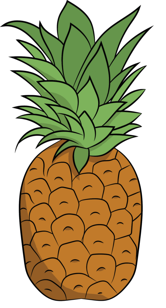 Hand Drawn Pineapple Png