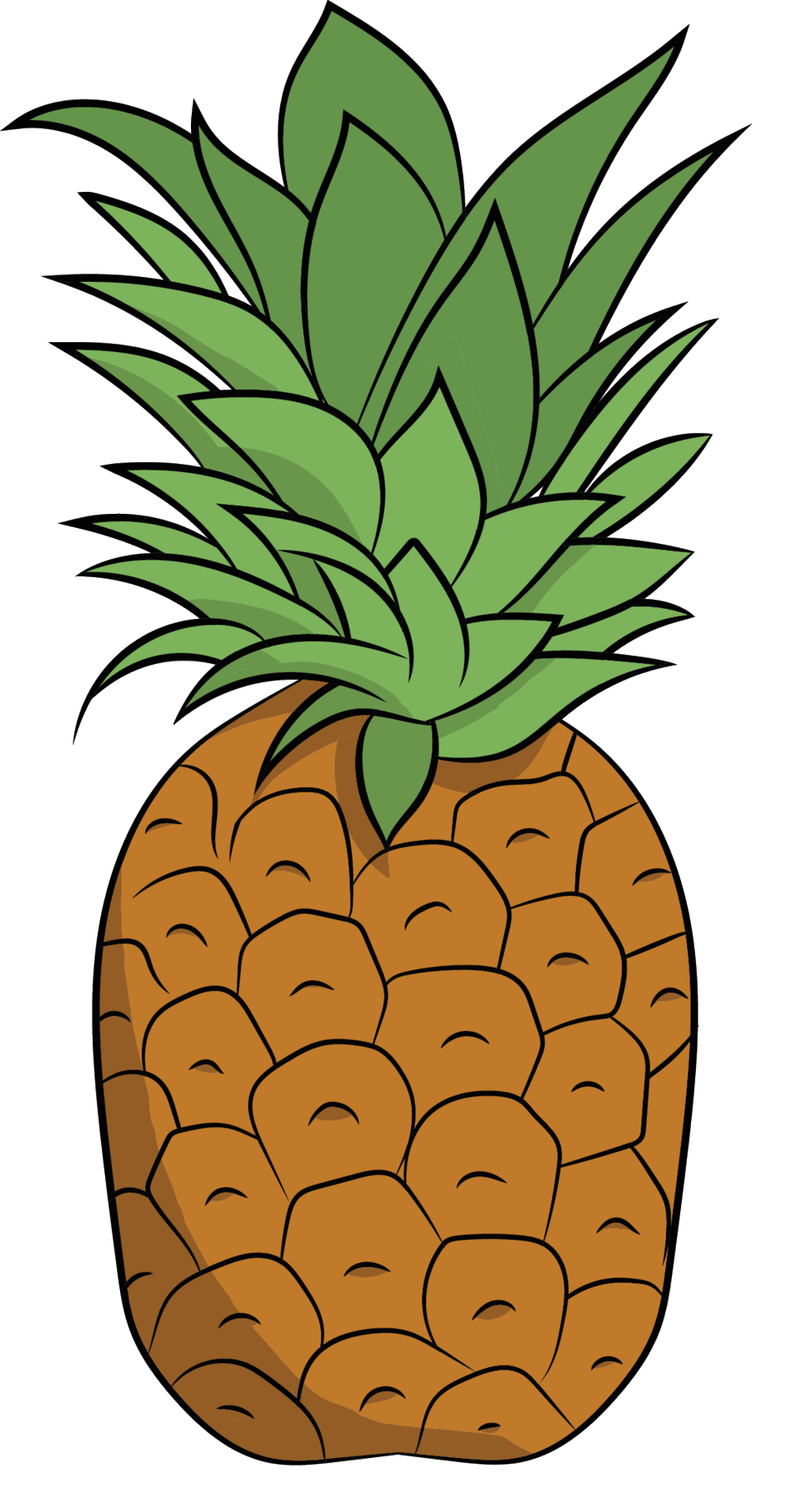 pineapple-60