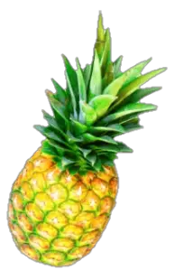 Free Pineapple PNG Image