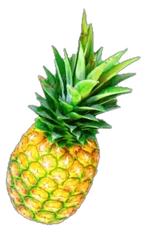 pineapple-7