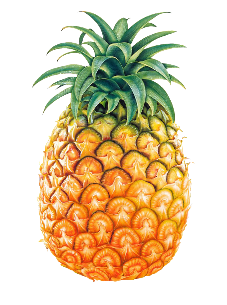High Resolution Pineapple Png