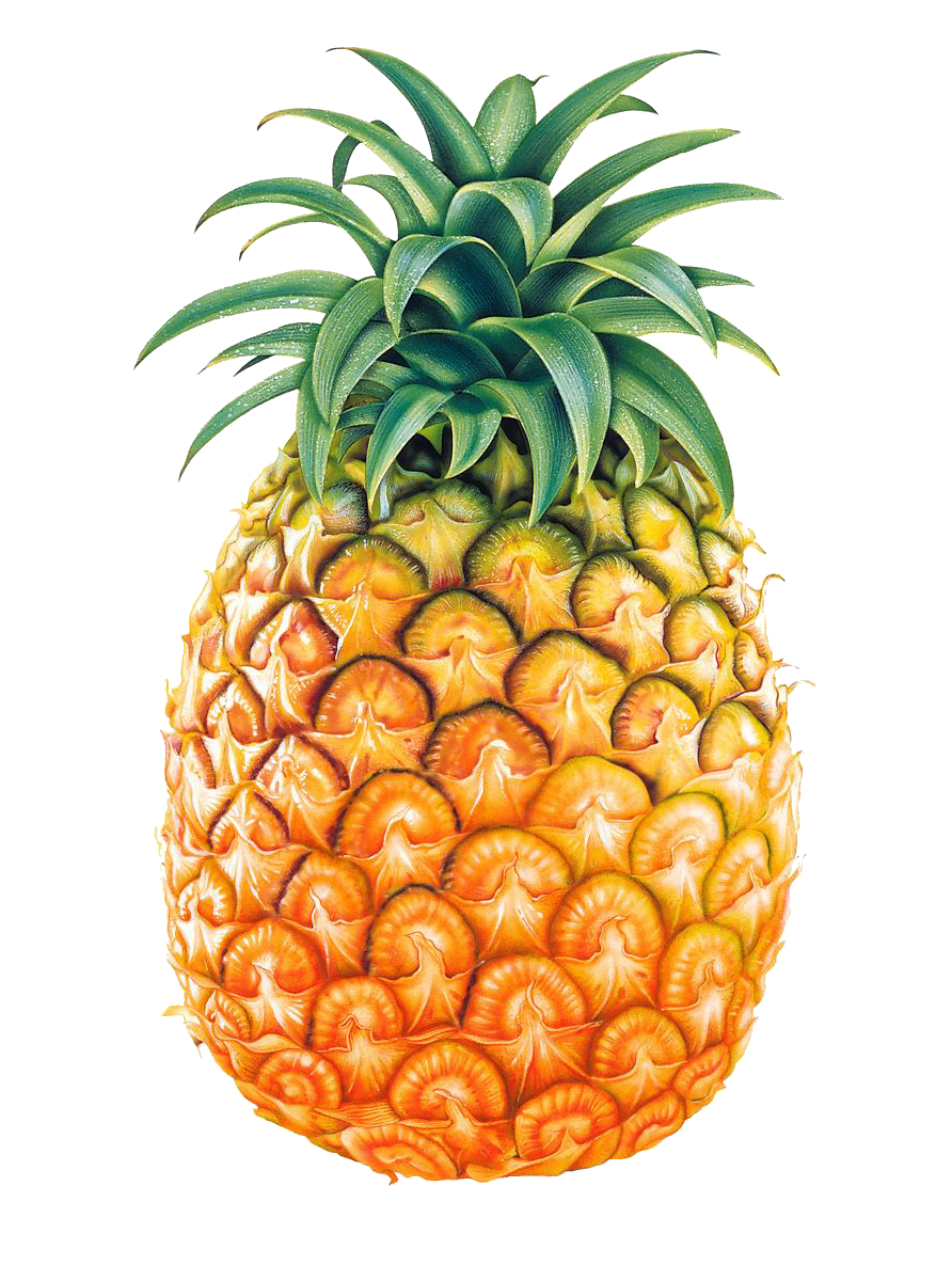 pineapple-74