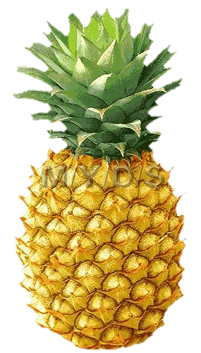 Free Pineapple PNG Image