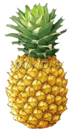 pineapple-9