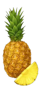 Transparent Pineapple Png