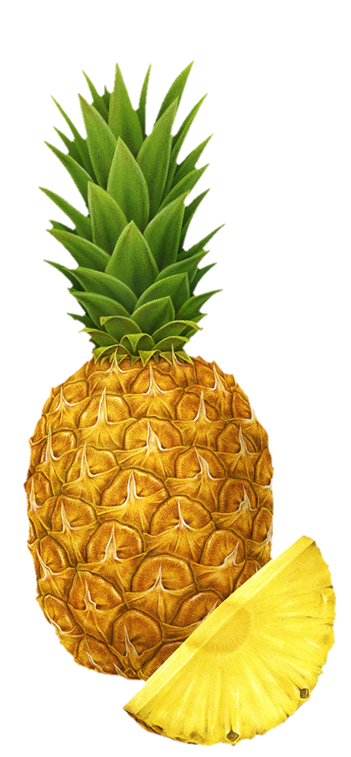 pineapple-png-image-from-pngfre-42