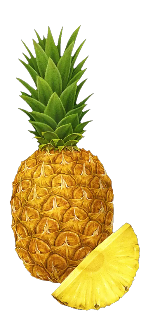 Pineapple PNG Images Free Download - Pngfre