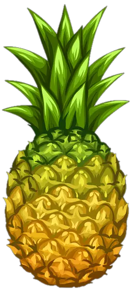 pineapple-png-image-from-pngfre-43