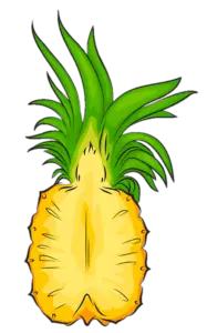 Half Pineapple Png