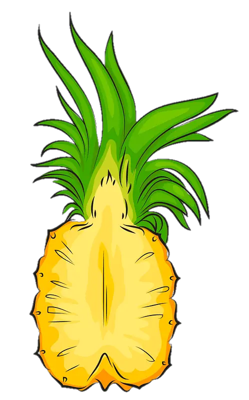 pineapple-png-image-from-pngfre-48