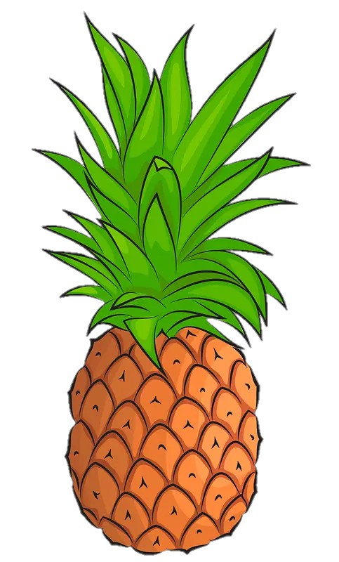 pineapple-png-image-from-pngfre-49