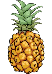 Pineapple Png Clipart