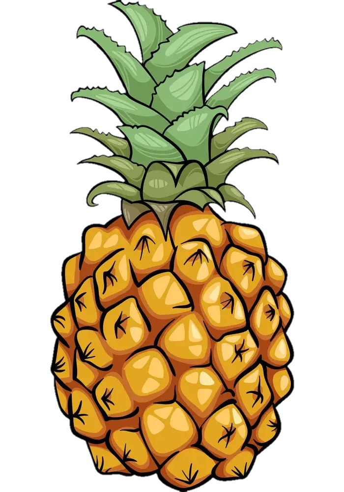 pineapple-png-image-from-pngfre-50