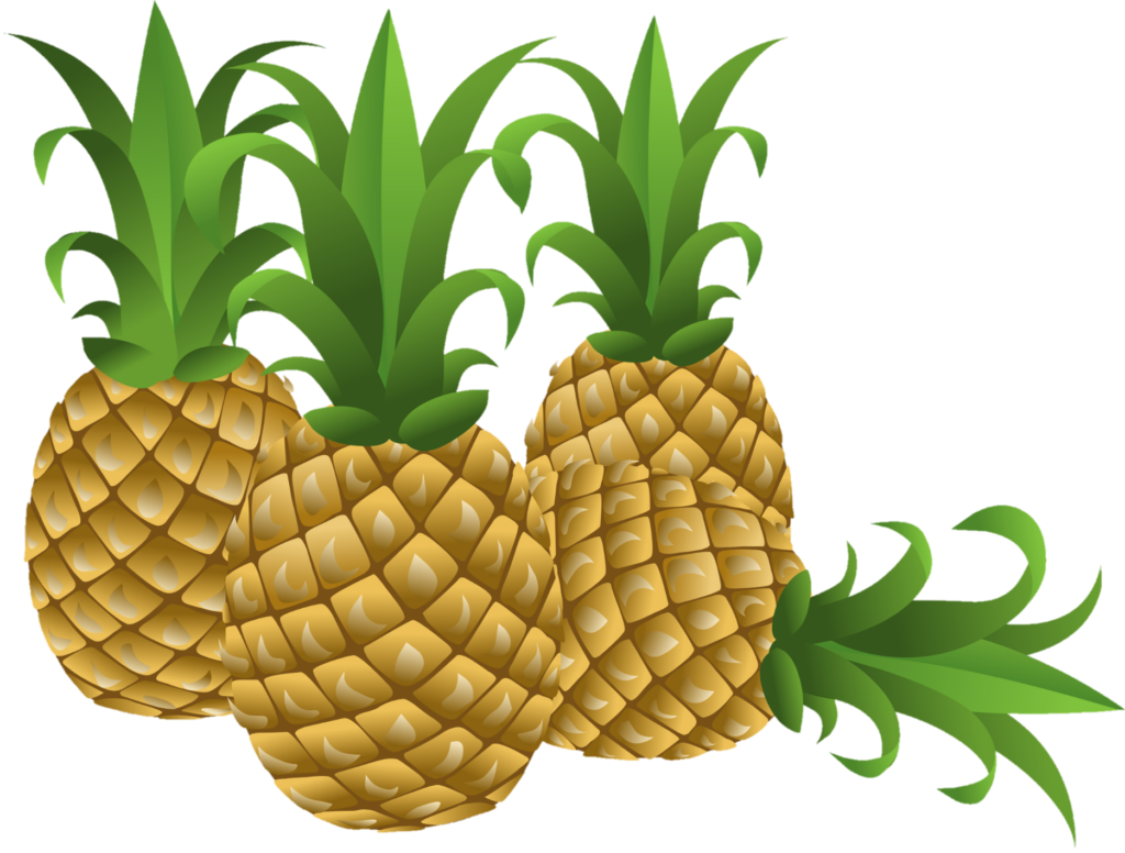 Pineapple Png vectors