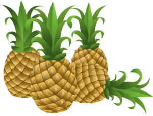 Pineapple Png vectors