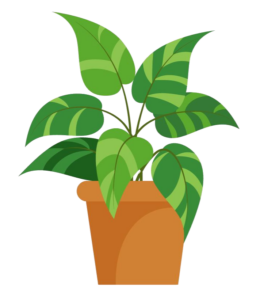 Small Potted Plant Vector PNG