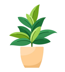 Potted Plant Vector PNG