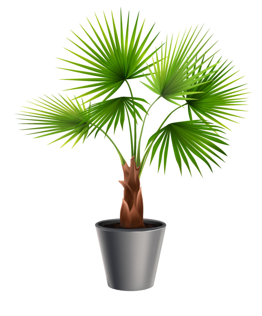 Plant PNG Images free Download - Pngfre