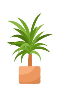 Plant Vector PNG