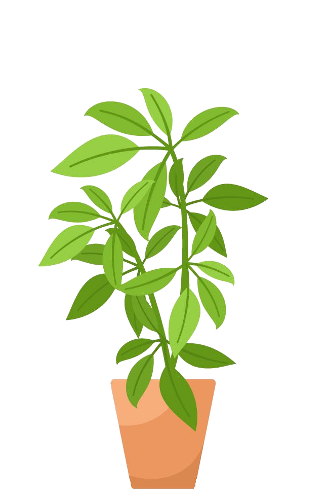 plant-20