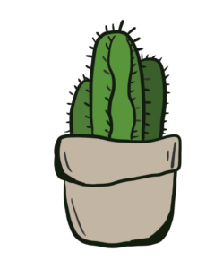 Cactus Plant Clipart PNG