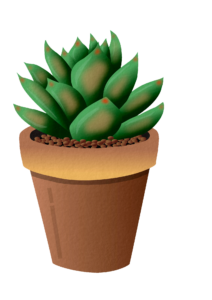 Aesthetic Plant PNG