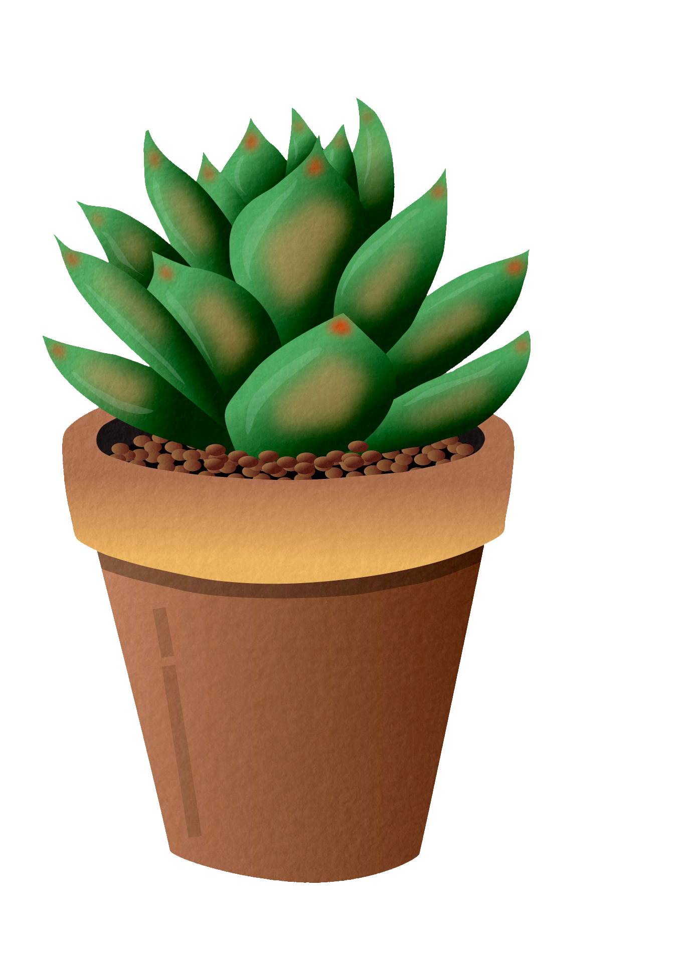 plant-22