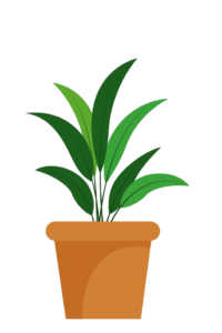 Potted Plant vector PNG