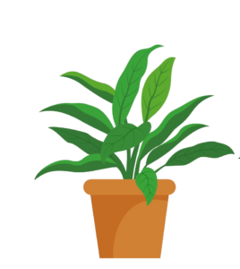 Green Potted Plant Vector PNG
