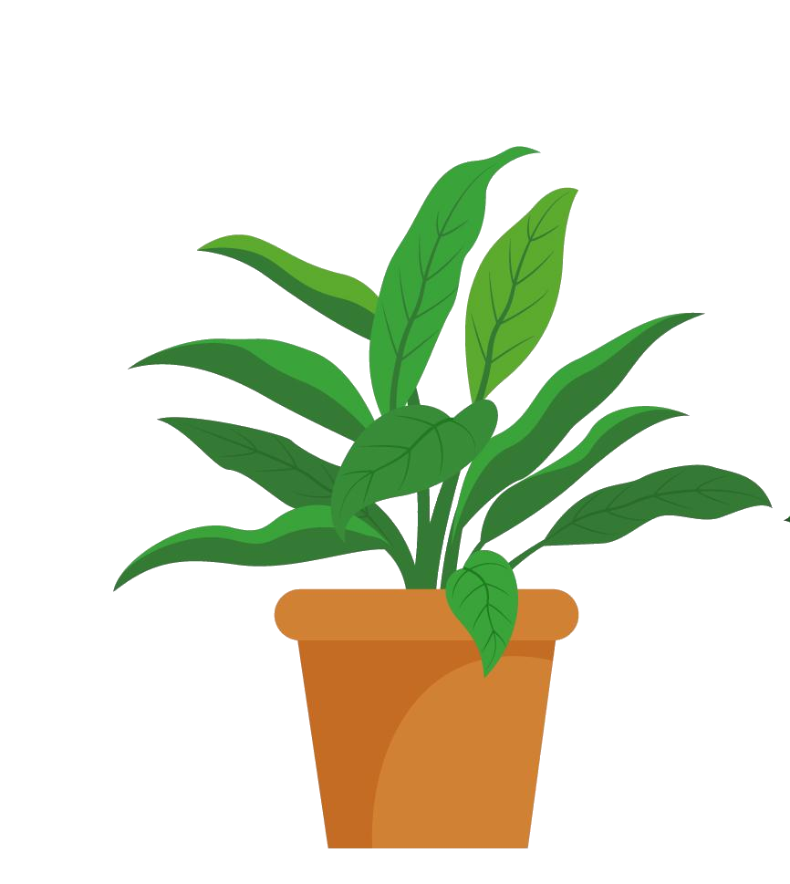 plant-24