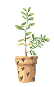 Watercolor Plant PNG