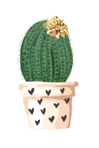 Watercolor Cactus Plant PNG