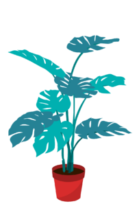 Potted Plant Vector PNG