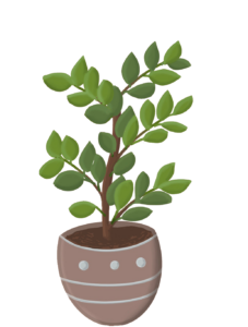 Potted Plant clipart PNG