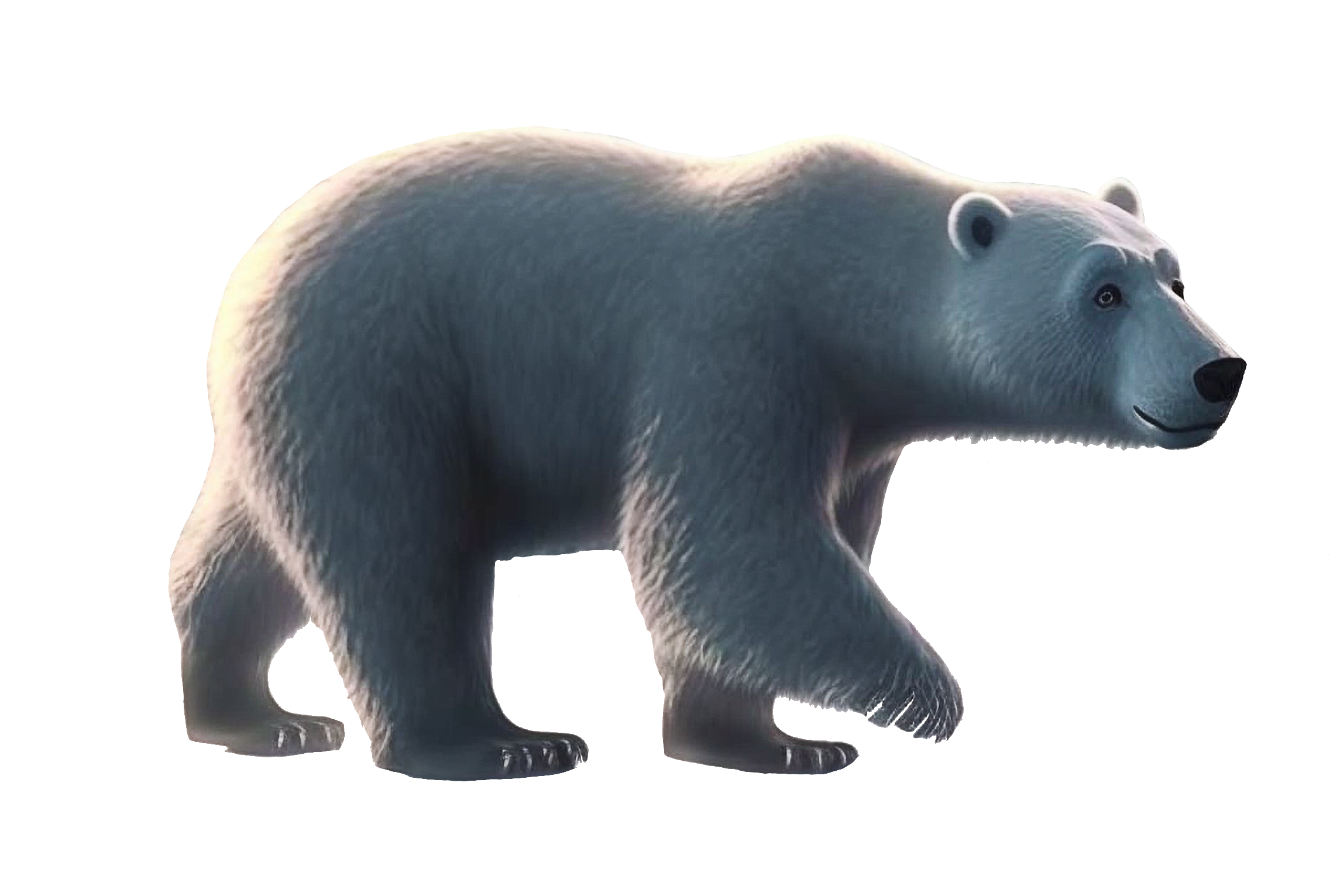 polar-bear-17