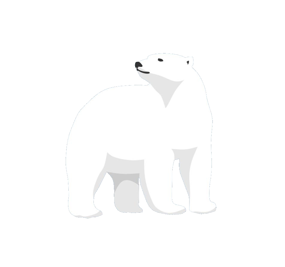 Polar Bear Vector Png