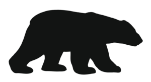 polar-bear-40