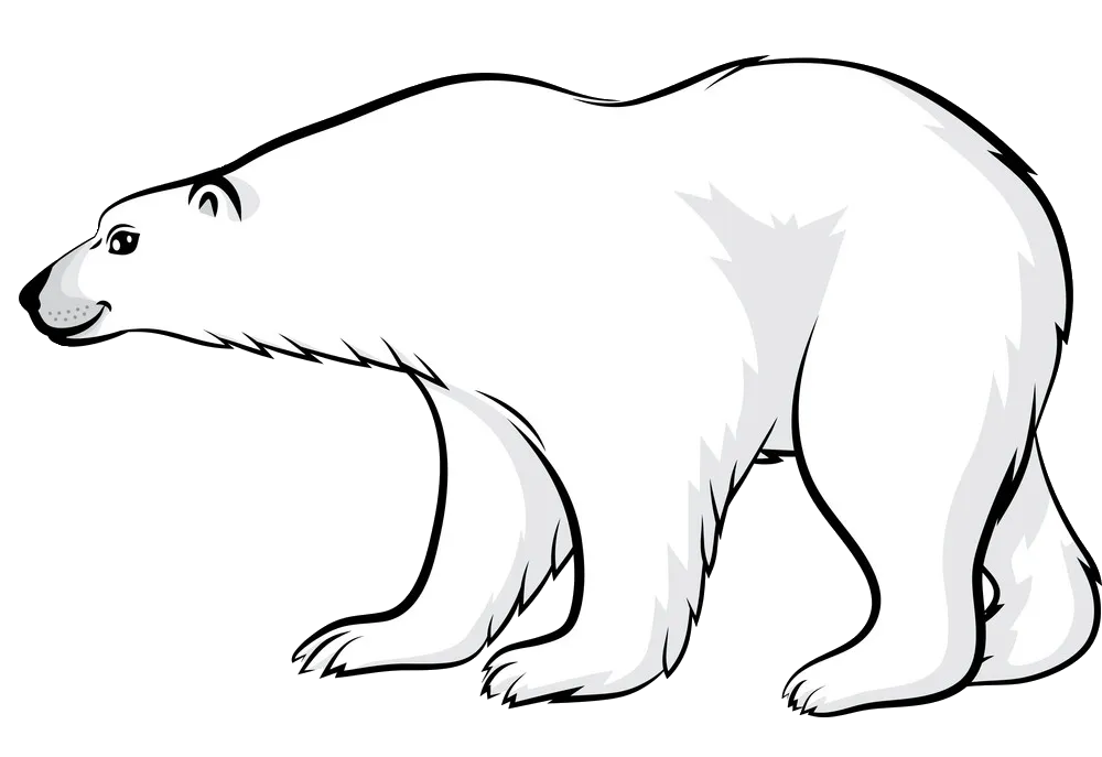 polar-bear-43
