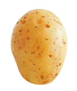 Single Potato Png