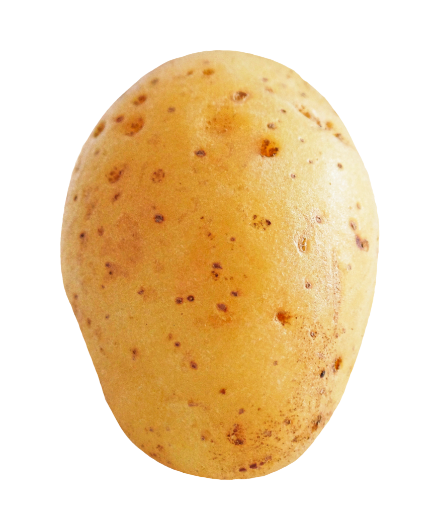Single Potato Png