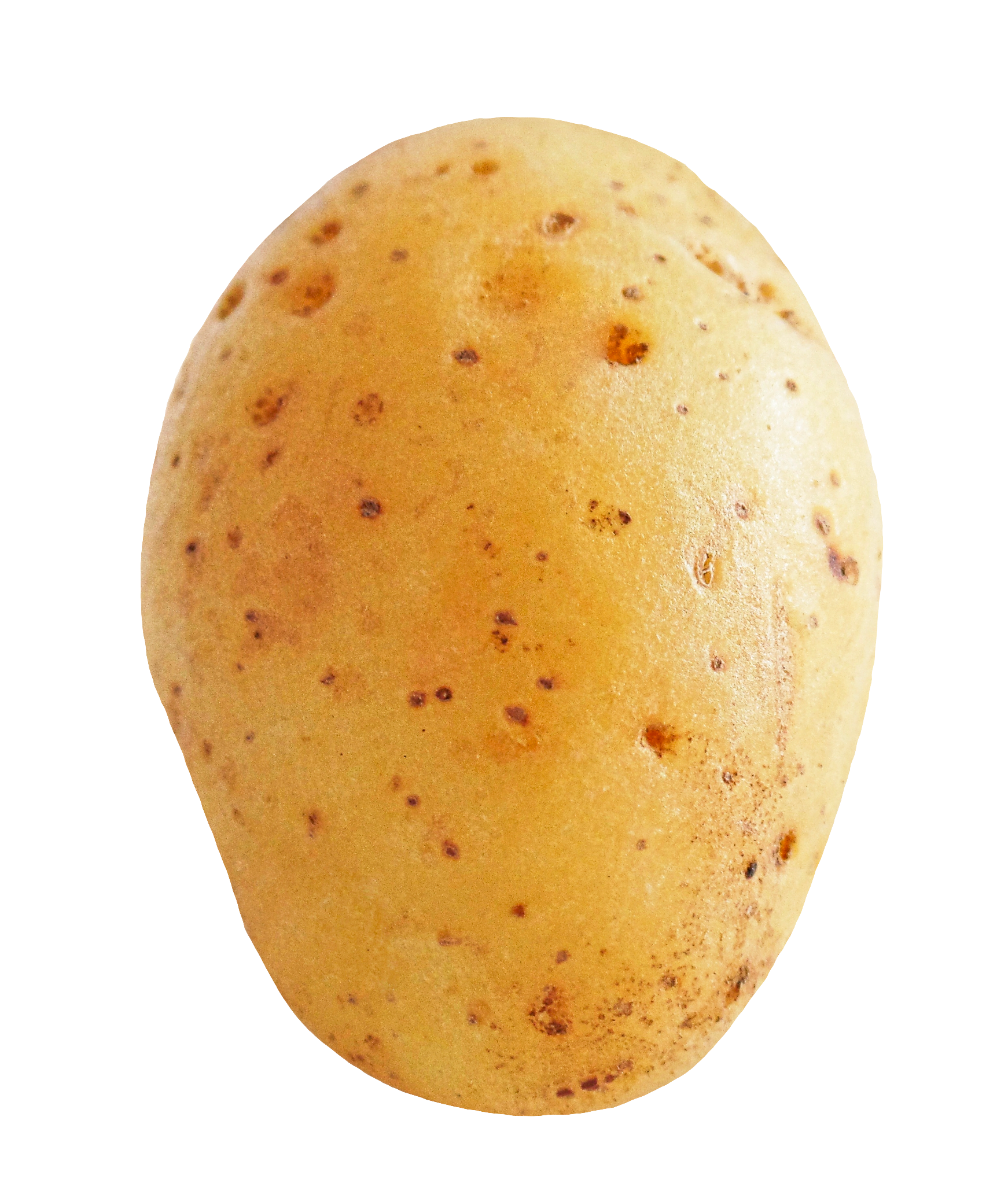 potato-32