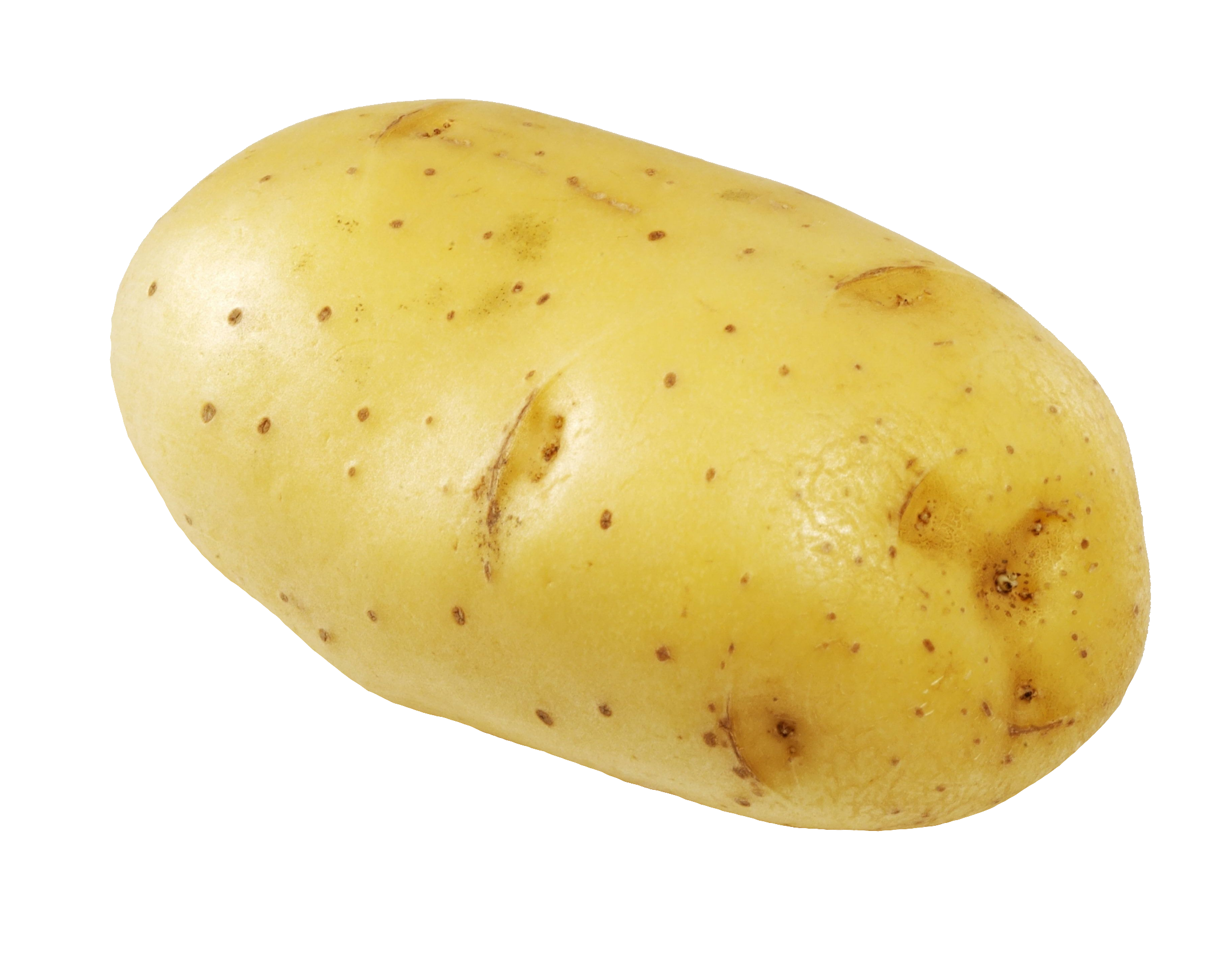 potato-36