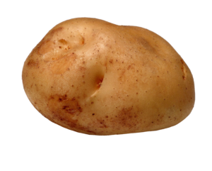 Single Potato Png