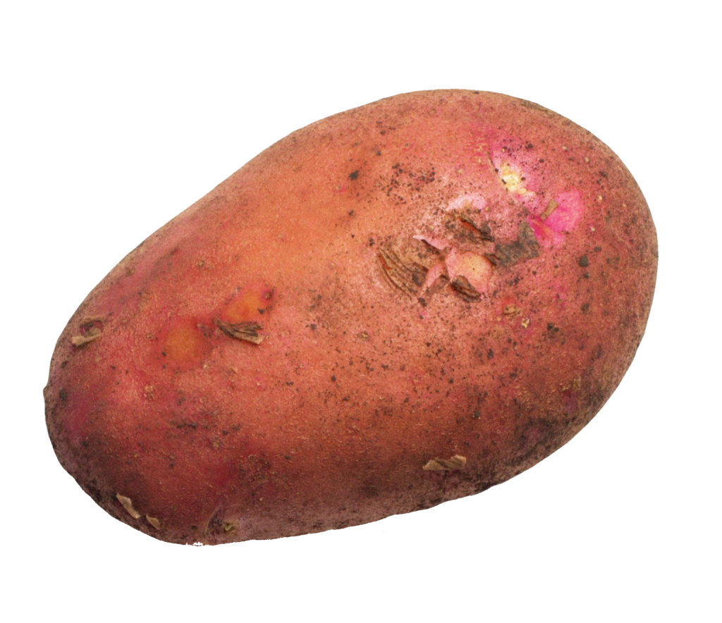 Red Potato Png