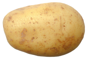 Single Potato Png