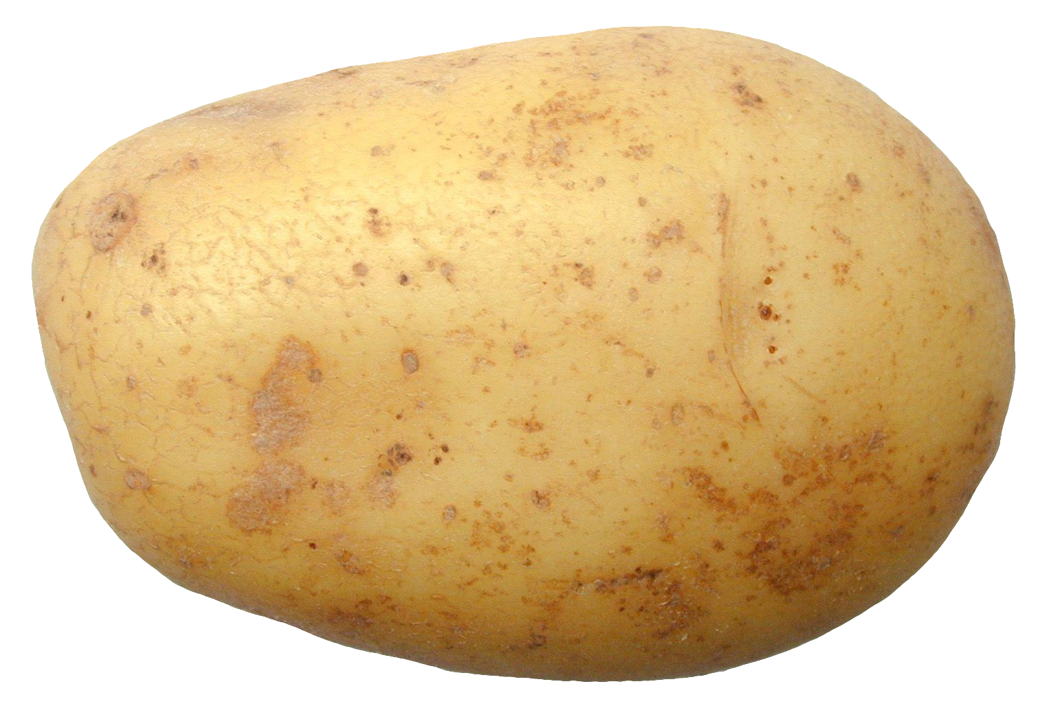 potato-48