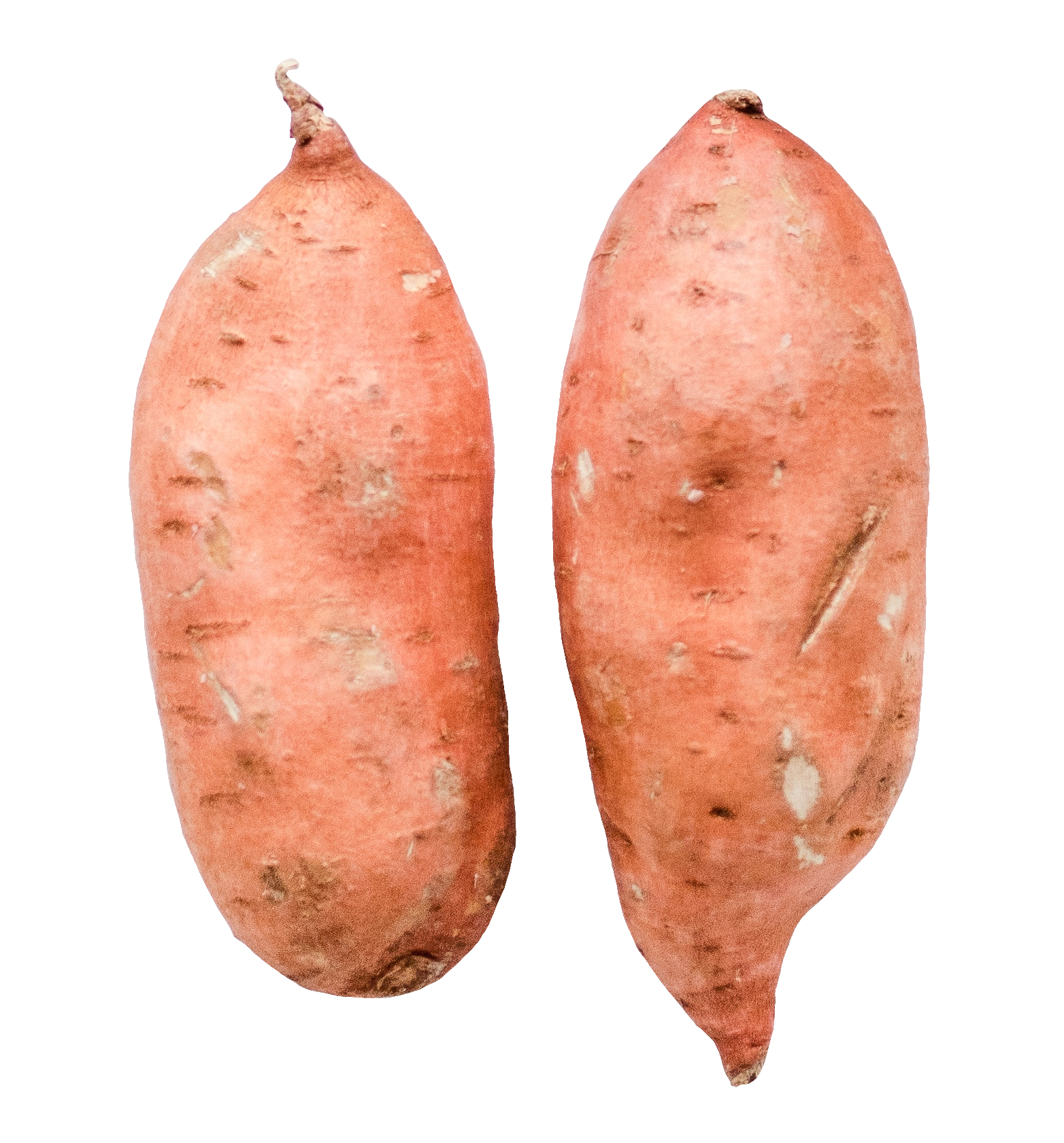 potato-52